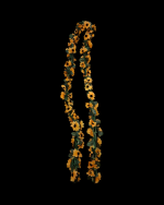 AYÇİÇEKL DOĞALGAZ SARMAŞIĞI - Görsel 4