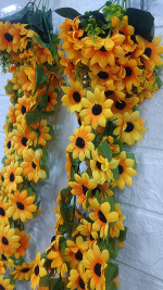 AYÇİÇEKL DOĞALGAZ SARMAŞIĞI