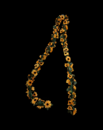 AYÇİÇEKL DOĞALGAZ SARMAŞIĞI - Görsel 3