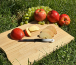 SOLİNGEN 4. GRUP MEYVE BIÇAĞI - Görsel 5